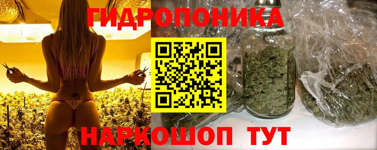 Марихуана гибрид Лабинск